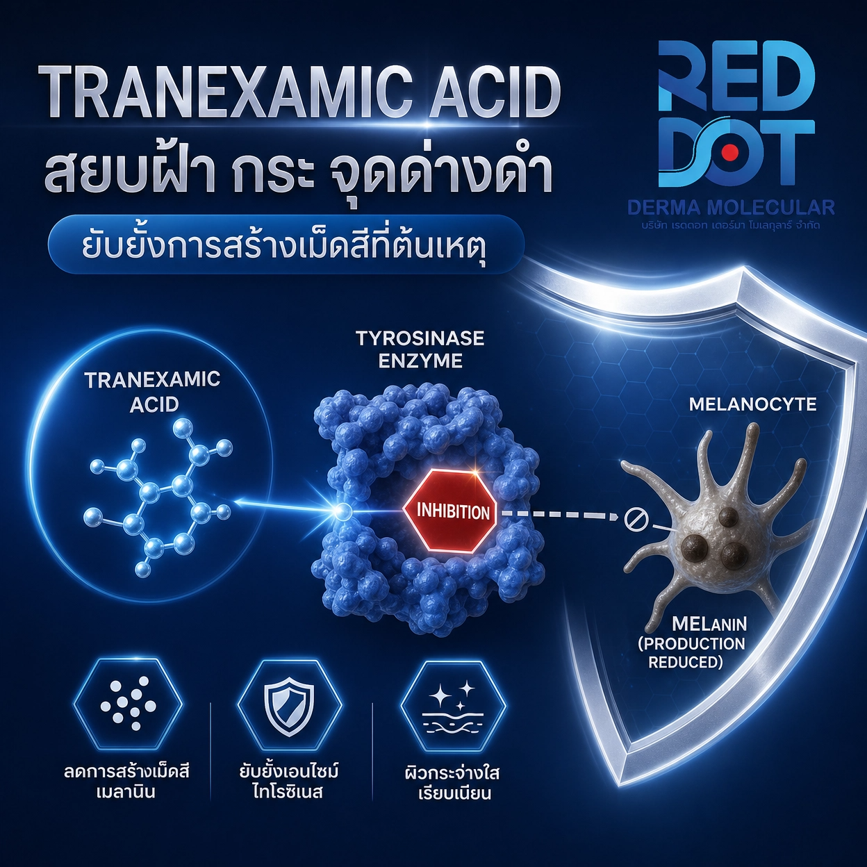 Tranexamic Acid ทราเนซามิก แอซิด สารสกัด สกินแคร์ OEM Reddot